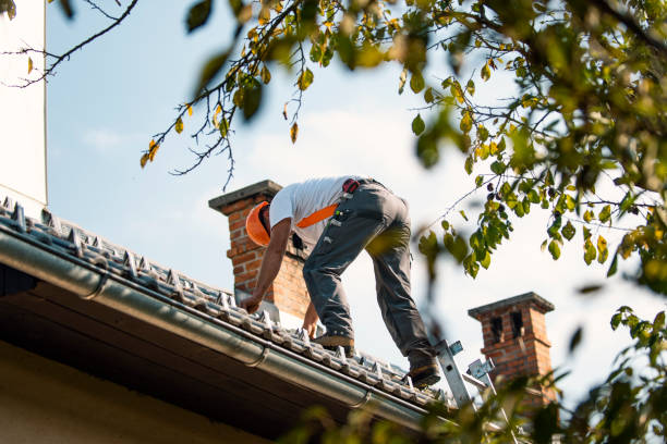 Best Roof Ventilation Installation  in Woodville, AL