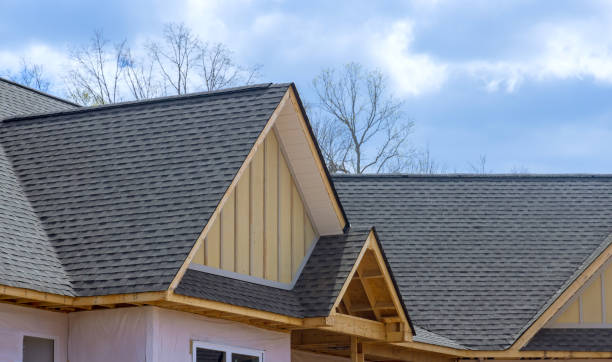 Best Roof Coating and Sealing  in Woodville, AL